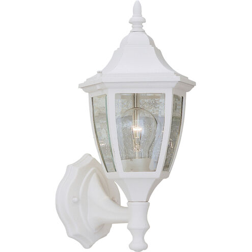 Builder 1 Light 14 inch White Outdoor Wall Lantern