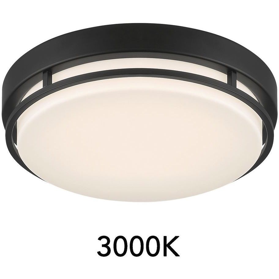 EnviroLite LED 10 inch Matte Black Flush Mount Ceiling Light