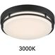 EnviroLite LED 10 inch Matte Black Flush Mount Ceiling Light