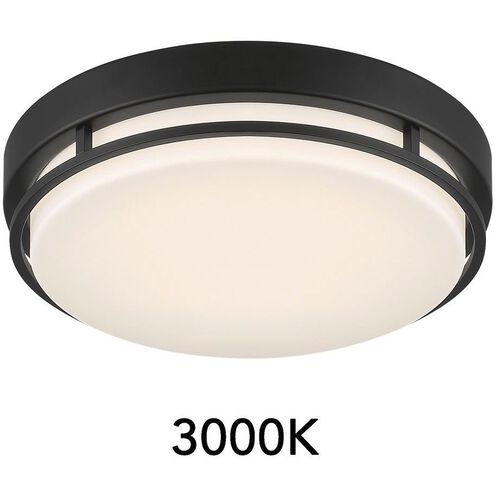 EnviroLite LED 10 inch Matte Black Flush Mount Ceiling Light