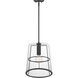 Alonzo 1 Light 14 inch Matte Black Pendant Ceiling Light