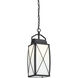 Fairlington 1 Light 7.5 inch Black Outdoor Hanging Lantern