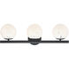 Crown Heights 3 Light 25 inch Matte Black Vanity Light Wall Light in White