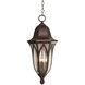 Berkshire 4 Light 11 inch Burnished Antique Copper Outdoor Hanging Lantern