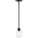 Summer Jazz 1 Light 5.5 inch Matte Black Pendant Ceiling Light