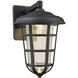 Triton Outdoor Wall Lantern