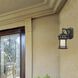 Sedona 1 Light 11 inch Oil Rubbed Bronze Outdoor Wall Lantern in Seedy
