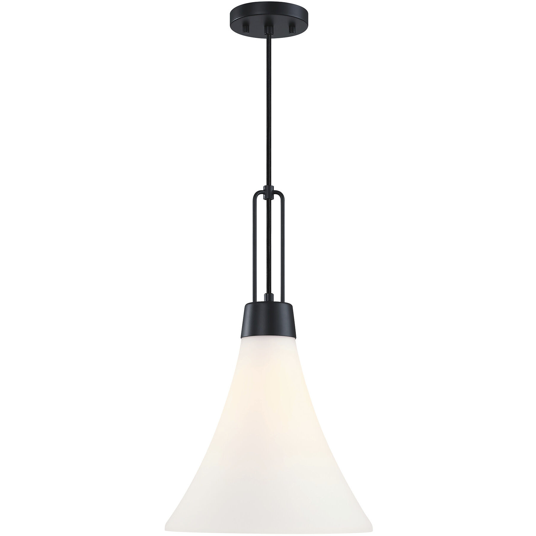 Evergreen Oasis LED 12 inch Matte Black Down Pendant Ceiling Light