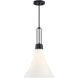 Evergreen Oasis 1 Light 12.00 inch Pendant