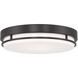 EnviroLite 14.00 inch Flush Mount