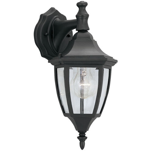 Builder 1 Light 14 inch Black Outdoor Wall Lantern
