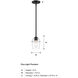 Summer Jazz 1 Light 5.5 inch Matte Black Pendant Ceiling Light