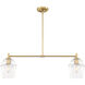 Summer Jazz 2 Light 36 inch Brushed Gold Island Pendant Ceiling Light
