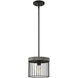 Aster 1 Light 10 inch Matte Black Pendant Ceiling Light
