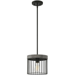 Aster 1 Light 10 inch Matte Black Pendant Ceiling Light
