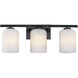 Bluestone Ridge LED 24 inch Matte Black Vanity Wall Light