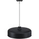 Forbidden Springs LED 20 inch Matte Black Down Pendant Ceiling Light