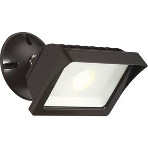 EnviroLite 6.10 inch Outdoor Wall Light