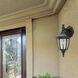 Builder 1 Light 14 inch Black Outdoor Wall Lantern