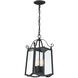 Glenwood 4 Light 9 inch Black Outdoor Hanging Lantern