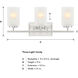Carmine 3 Light 21 inch Brushed Nickel Vanity Light Wall Light
