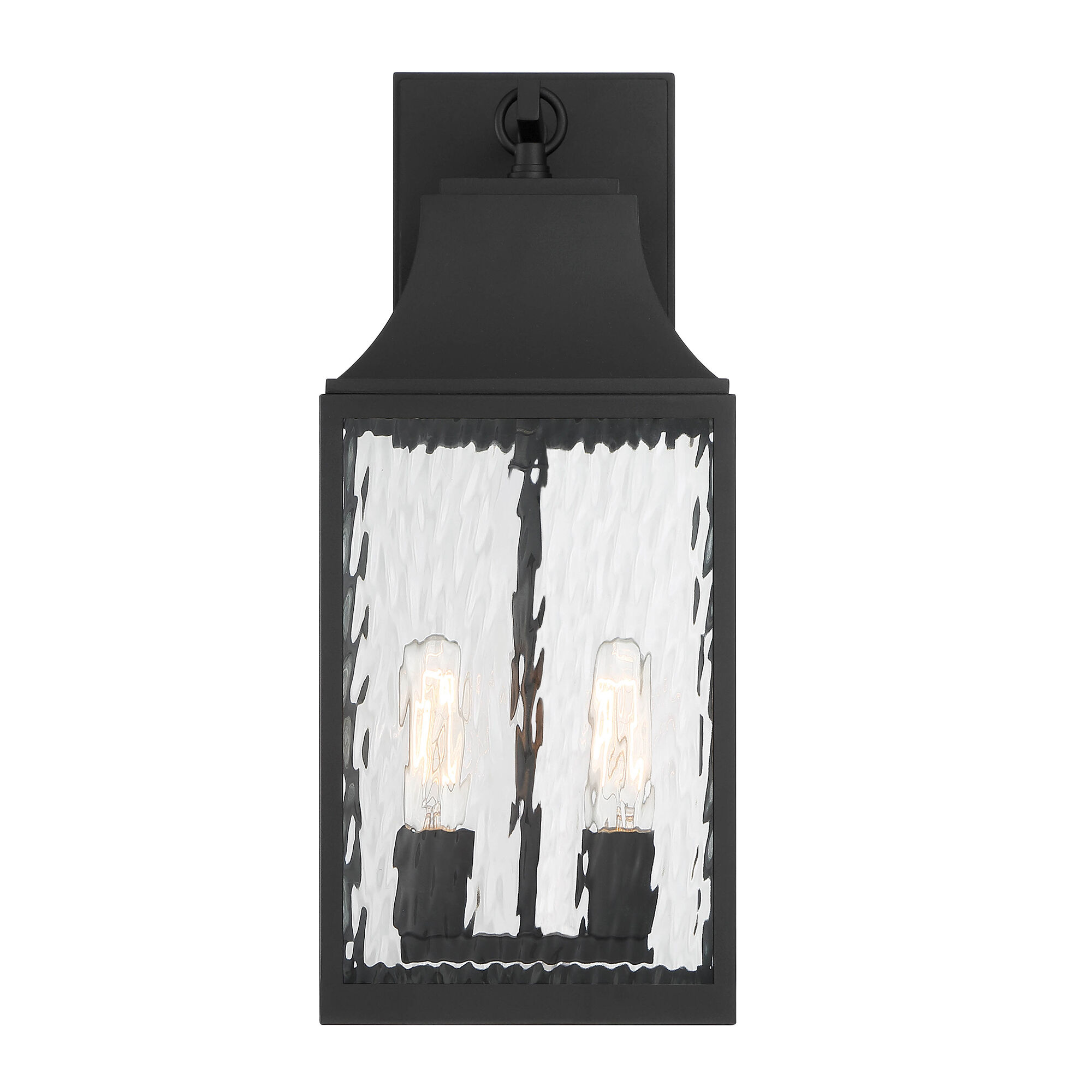 Designers Fountain D265M 8EW BK Blueberry Trail 2 Light 20 inch Black Outdoor Wall Lantern