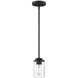Jedrek 1 Light 4 inch Black Mini Pendant Ceiling Light