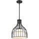Evensong LED 12 inch Matte Black Pendant Ceiling Light