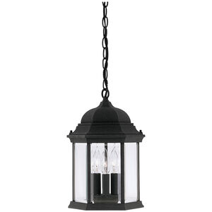 Devonshire 3 Light 10 inch Black Outdoor Hanging Lantern