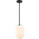 Noor 1 Light 8.5 inch Matte Black Pendant Ceiling Light