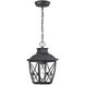 Belmont 1 Light 8 inch Black Outdoor Hanging Lantern