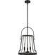 Alba 3 Light 14 inch Matte Black Pendant Ceiling Light