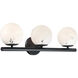 Crown Heights 3 Light 25 inch Matte Black Vanity Light Wall Light in White