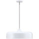 Forbidden Springs 8 Light 20.00 inch Pendant