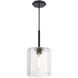 Haven LED 10 inch Matte Black Pendant Ceiling Light