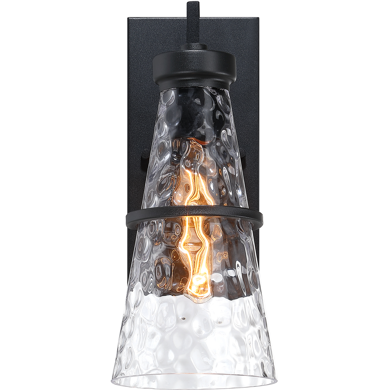 Field Daisy Lane 1 Light 14 inch Black Outdoor Wall Sconce