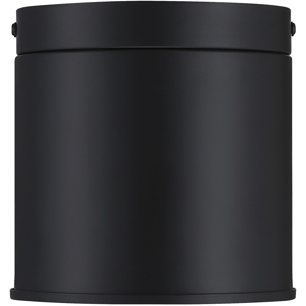 Fleur Oasis LED 6 inch Matte Black Flush Mount Ceiling Light
