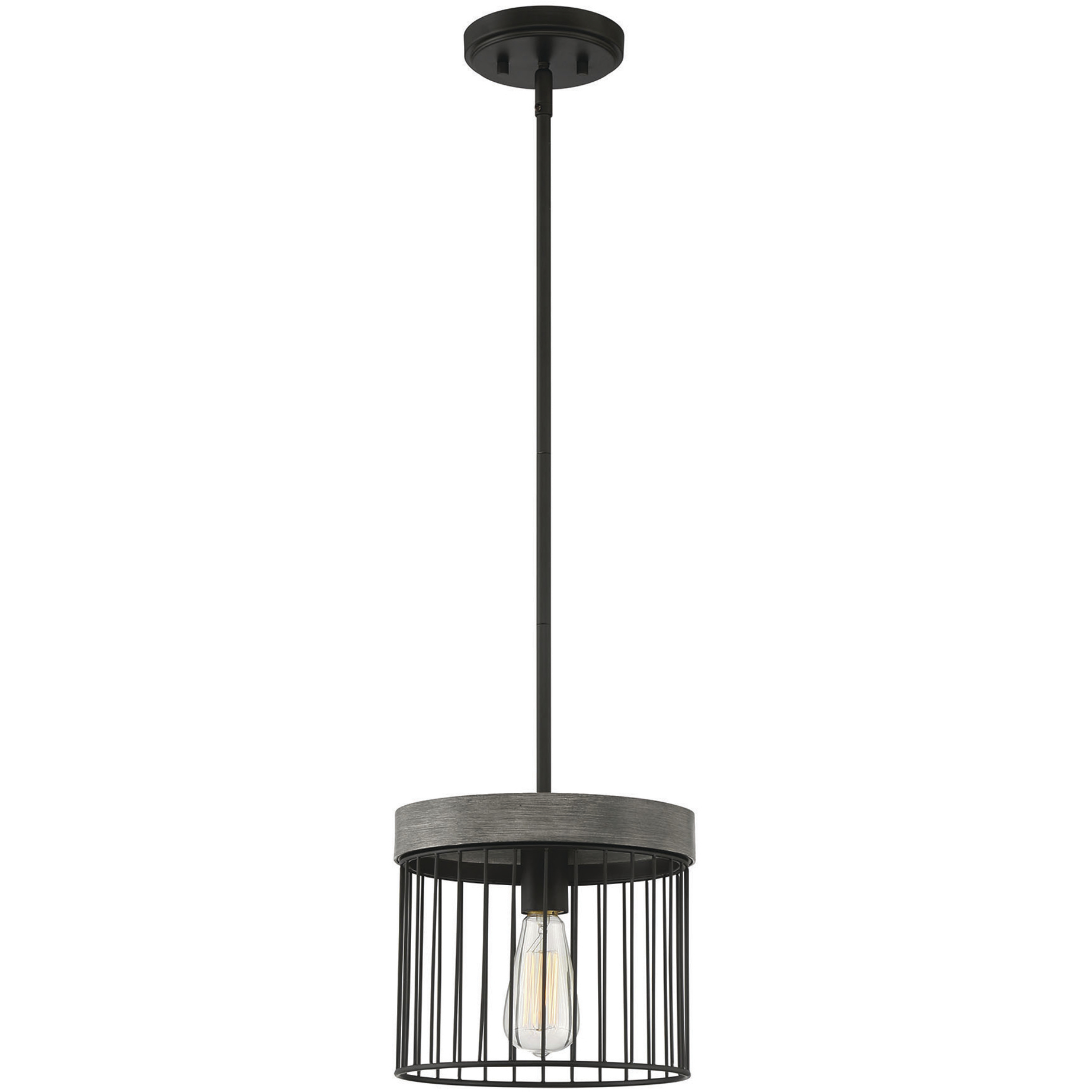 Aster 1 Light 10 inch Matte Black Pendant Ceiling Light